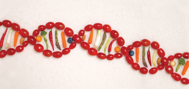 Does Our DNA Tell Us What To Eat? And Why Do We Crave Things We’re Sensitive To?