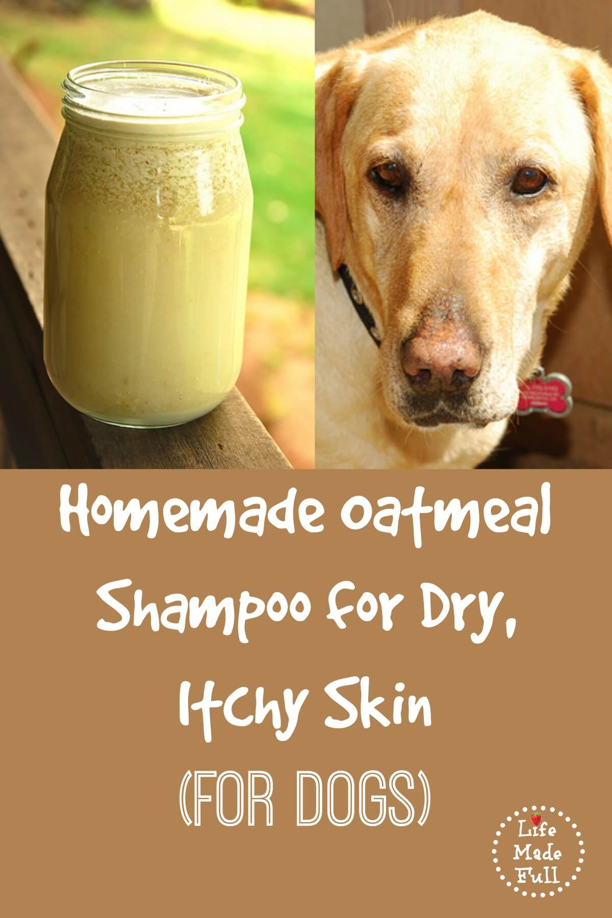 Homemade Shampoo for Dogs (for dry, itchy skin)