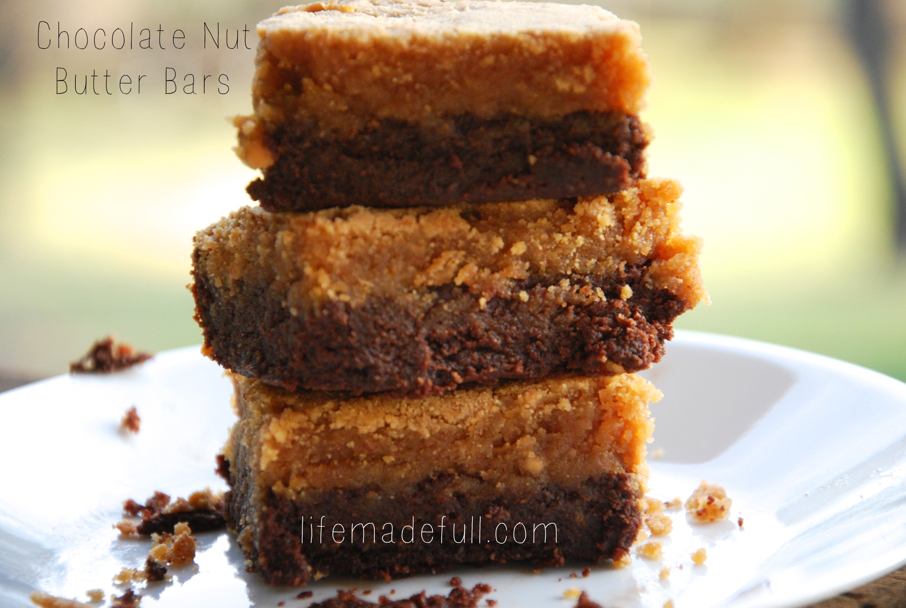 Chocolate Nut Butter Bars