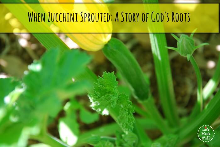 When Zucchini Sprouted: A Story of God’s Roots