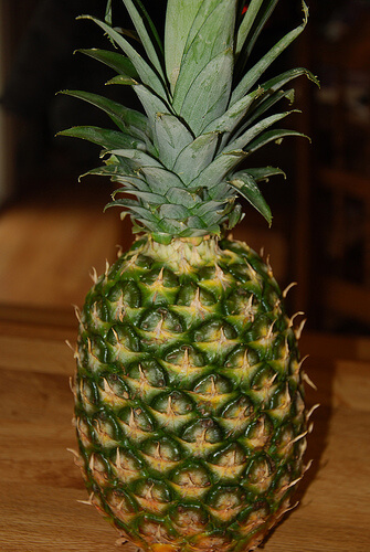 How to Grow a Pineapple Plant…